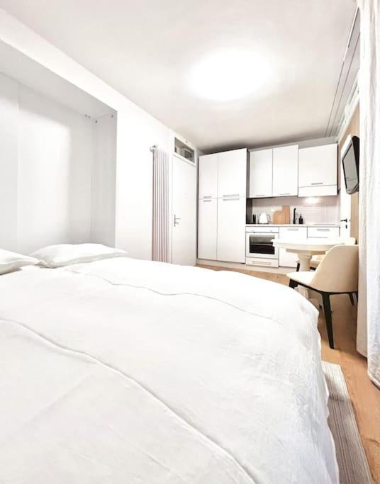 Bright Tiny Studio - Shared Pool & Sauna - Free Parking - Air Condition Muralto 外观 照片